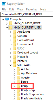 Registry edit_Brady.png